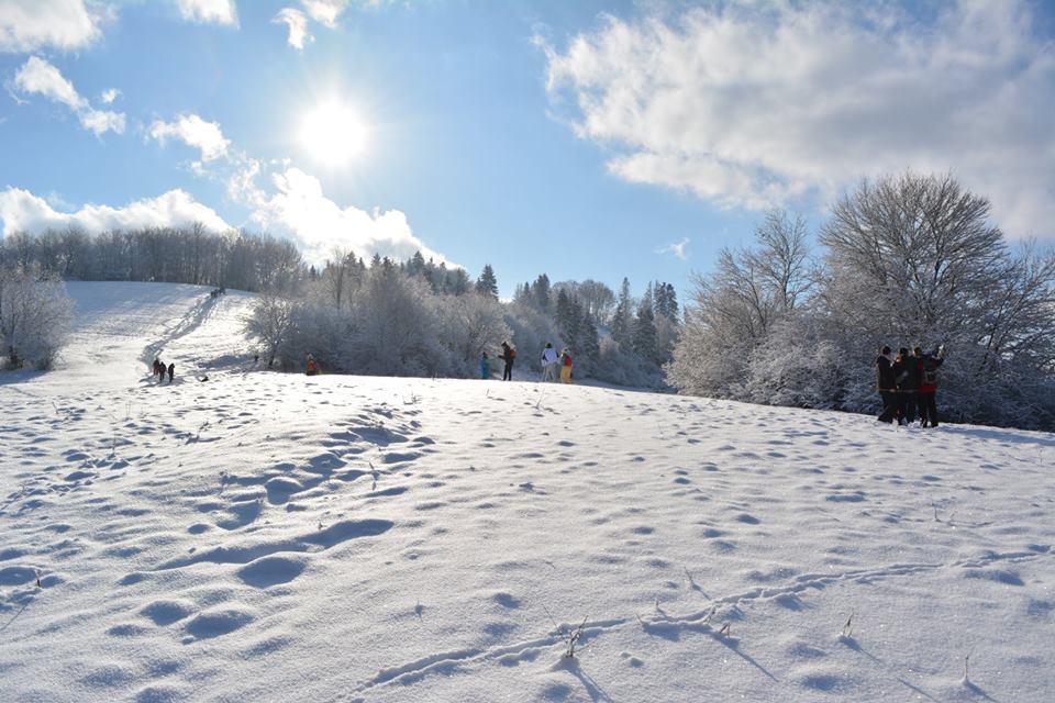 26112252_552826331744684_3843222262058051541_n