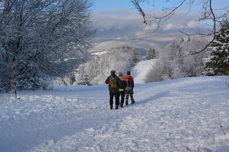 26114039_552825058411478_5843604699116341744_n