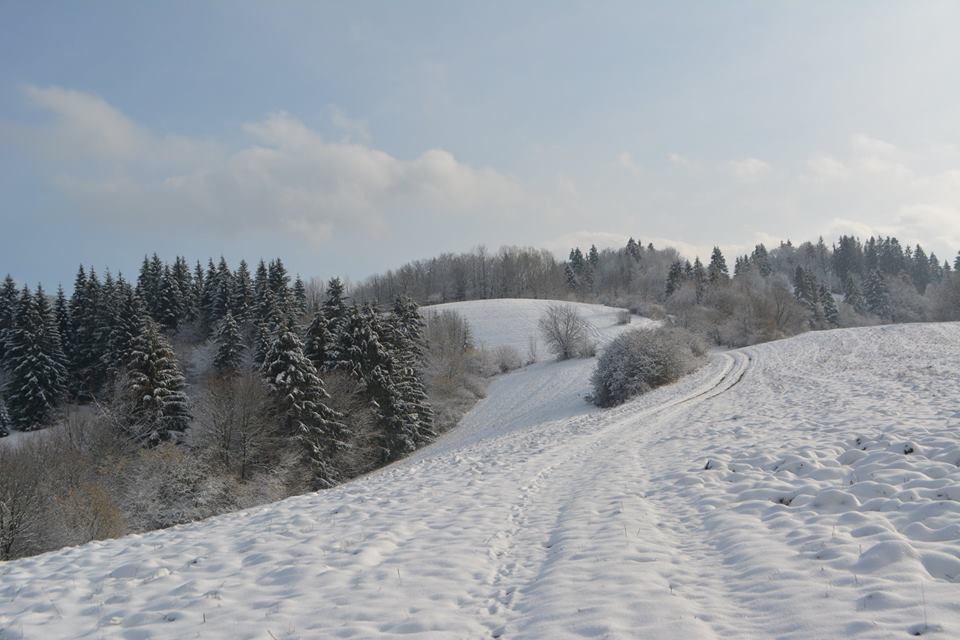 12744219_1685724645040682_8399559158520219907_n