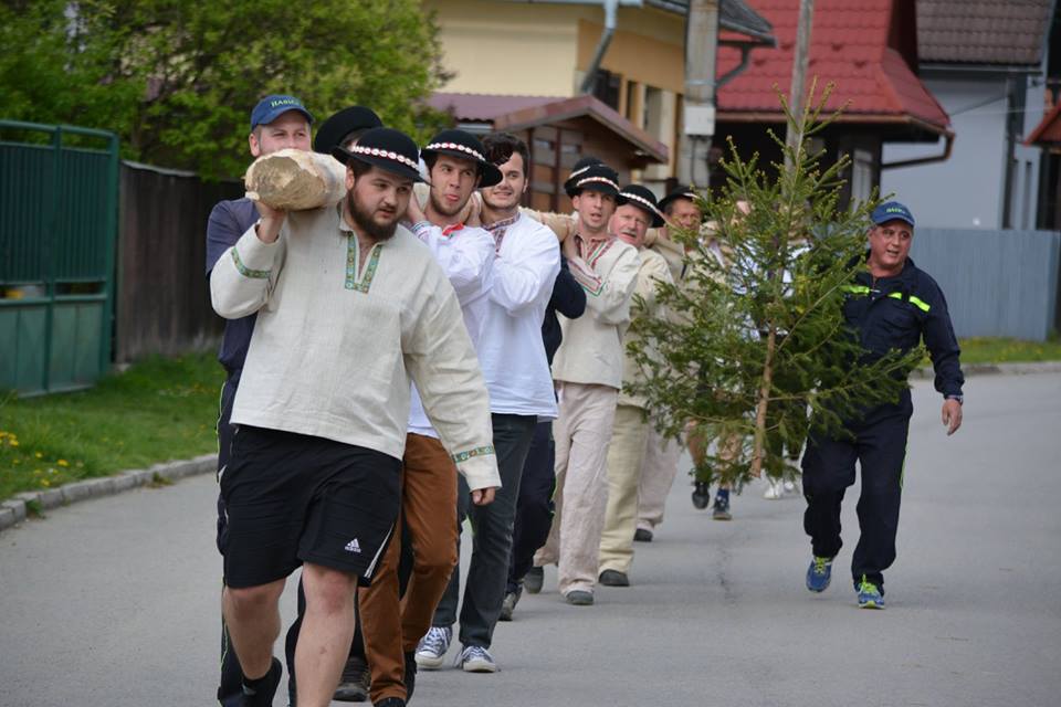 13083360_245594139134573_5209170545637537998_n