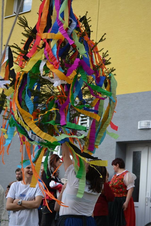 13151740_245594505801203_1051855471415254225_n