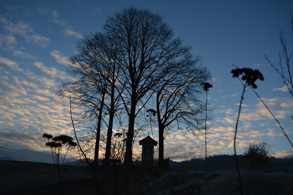 17426152_1889015561378255_7202920999285084062_n